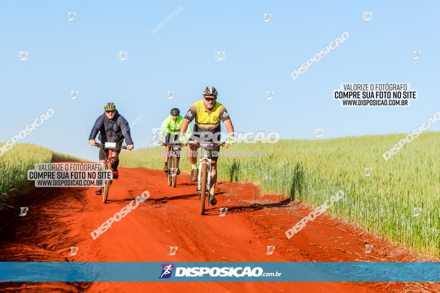 CIRCUITO IBIPORÃ DE MTB - Volta das Capelas 2023