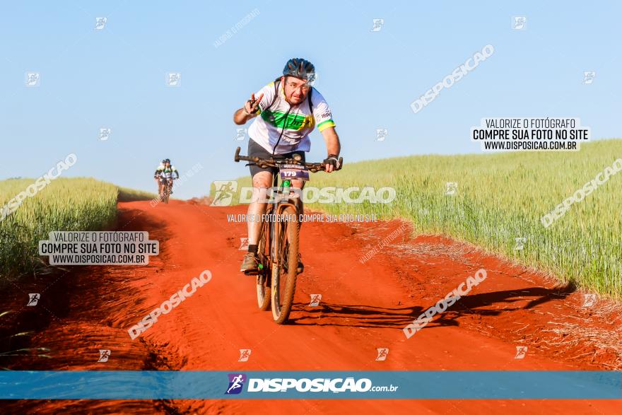 CIRCUITO IBIPORÃ DE MTB - Volta das Capelas 2023