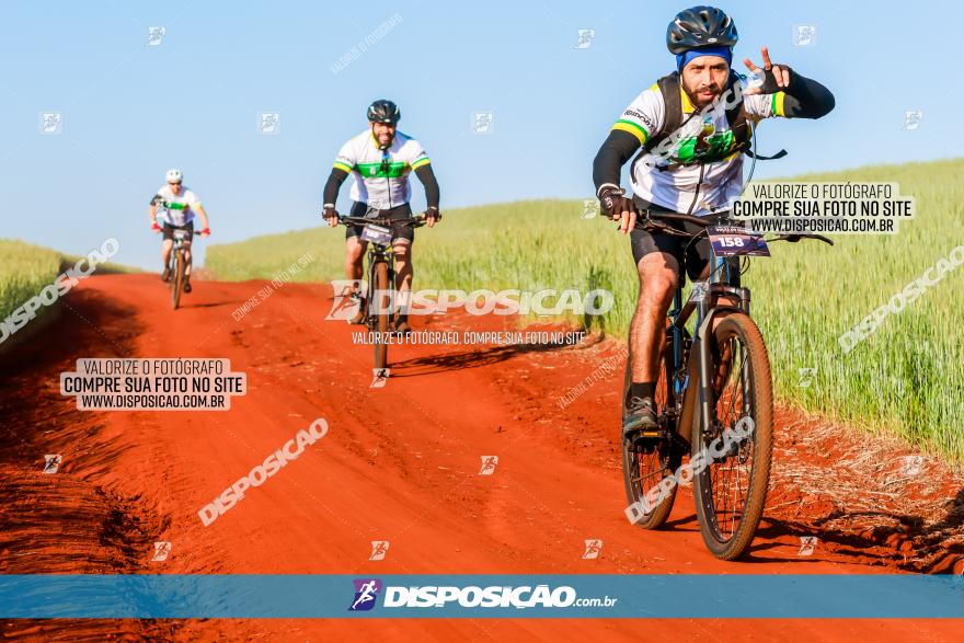 CIRCUITO IBIPORÃ DE MTB - Volta das Capelas 2023