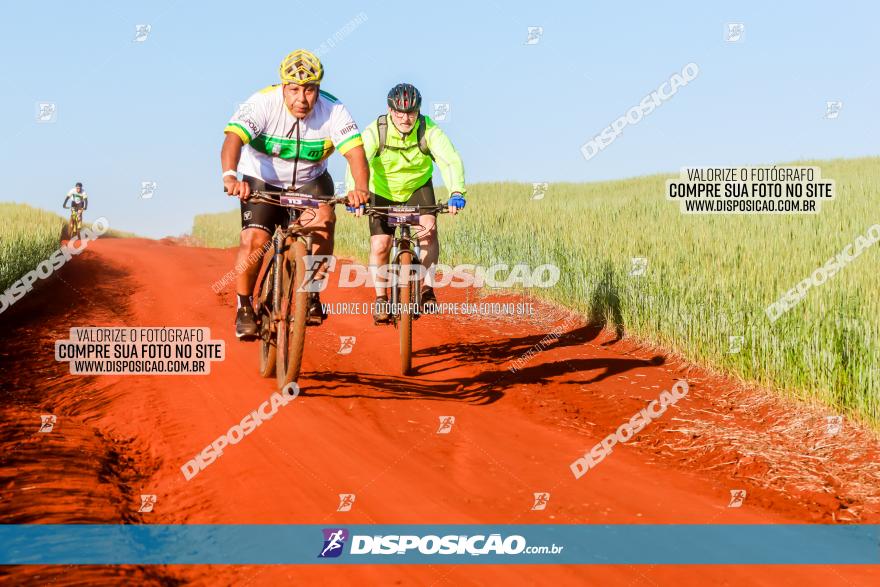 CIRCUITO IBIPORÃ DE MTB - Volta das Capelas 2023