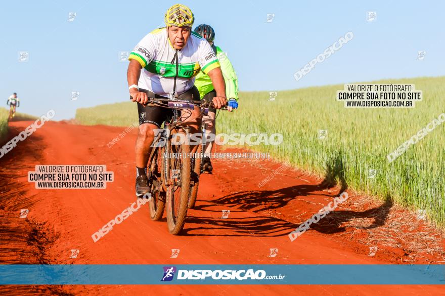 CIRCUITO IBIPORÃ DE MTB - Volta das Capelas 2023