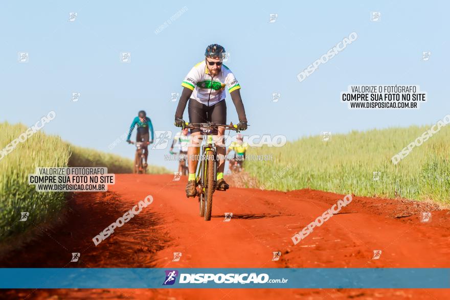 CIRCUITO IBIPORÃ DE MTB - Volta das Capelas 2023