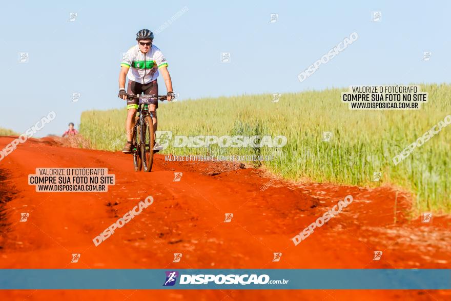 CIRCUITO IBIPORÃ DE MTB - Volta das Capelas 2023