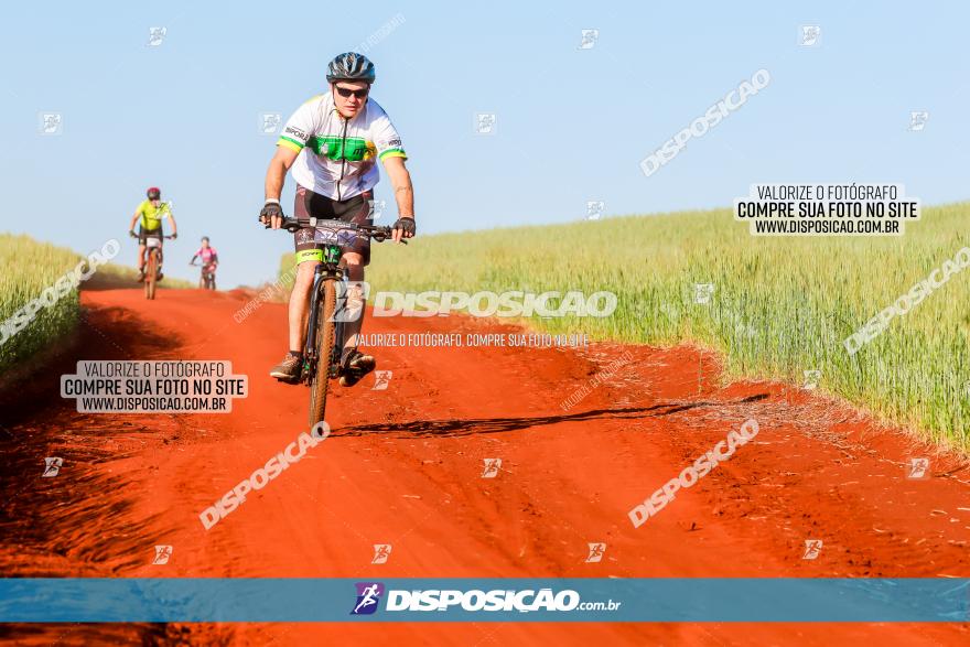 CIRCUITO IBIPORÃ DE MTB - Volta das Capelas 2023