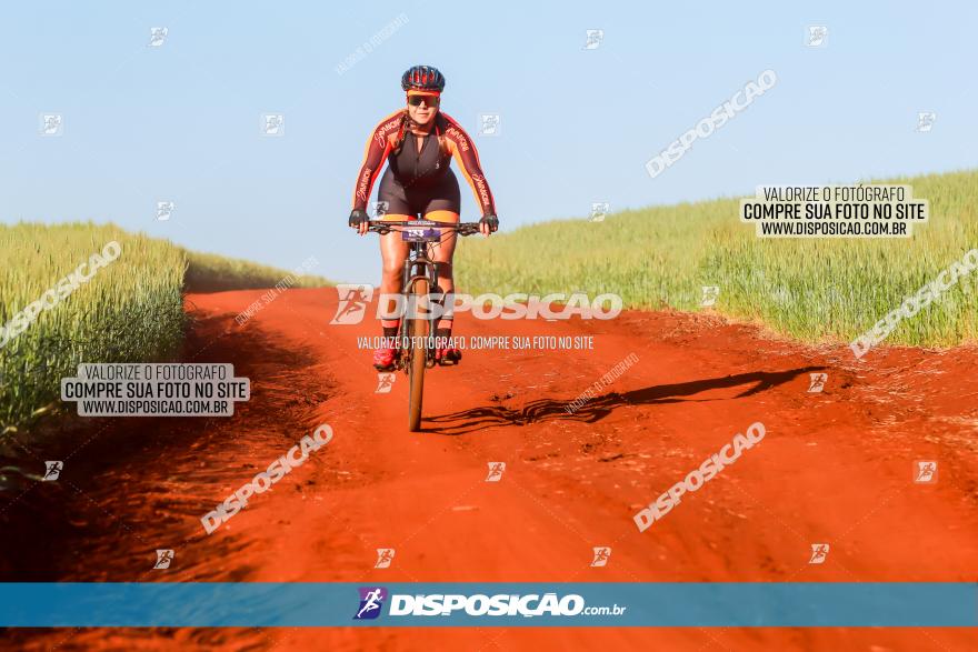 CIRCUITO IBIPORÃ DE MTB - Volta das Capelas 2023