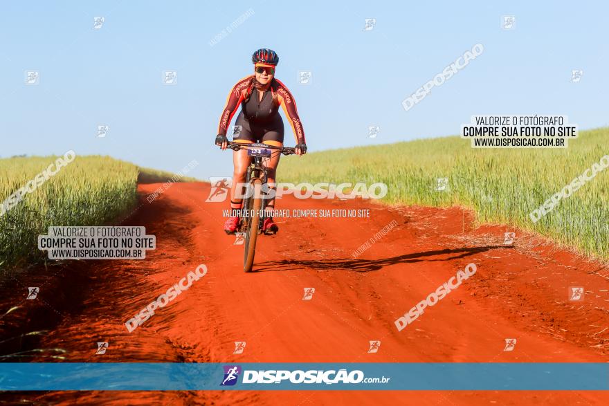 CIRCUITO IBIPORÃ DE MTB - Volta das Capelas 2023