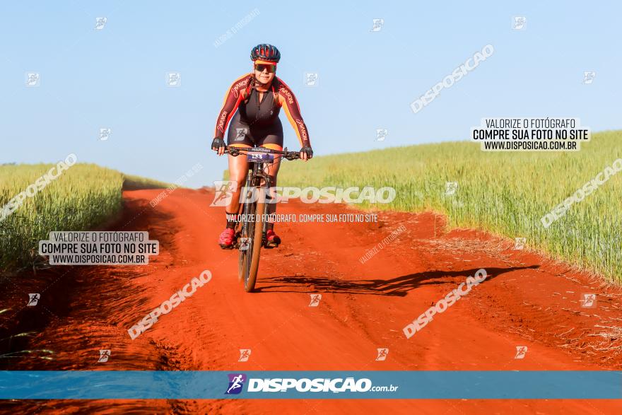 CIRCUITO IBIPORÃ DE MTB - Volta das Capelas 2023