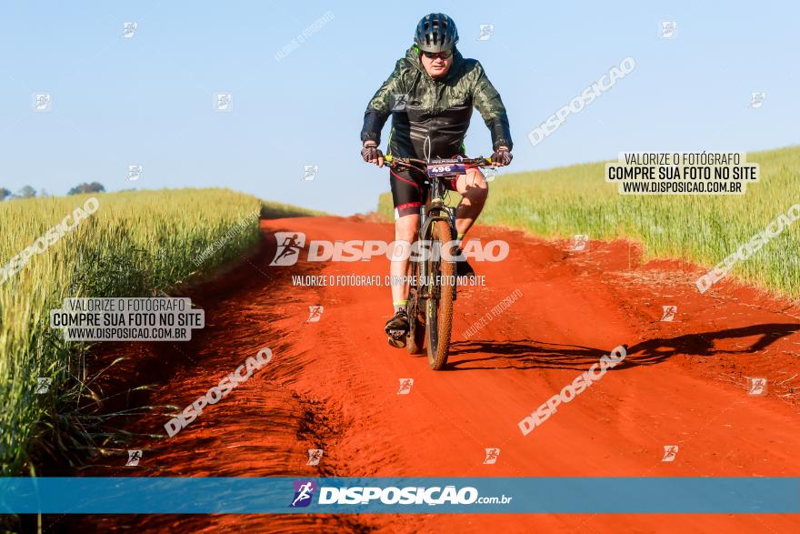 CIRCUITO IBIPORÃ DE MTB - Volta das Capelas 2023