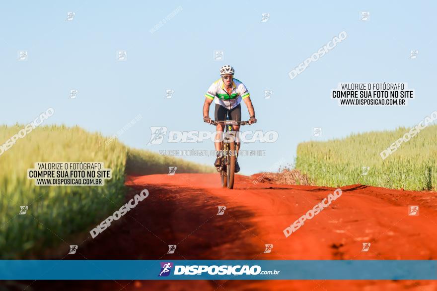 CIRCUITO IBIPORÃ DE MTB - Volta das Capelas 2023