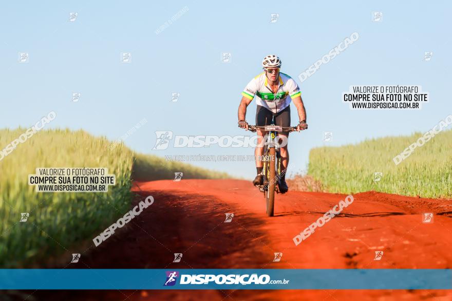 CIRCUITO IBIPORÃ DE MTB - Volta das Capelas 2023