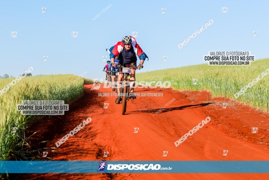 CIRCUITO IBIPORÃ DE MTB - Volta das Capelas 2023