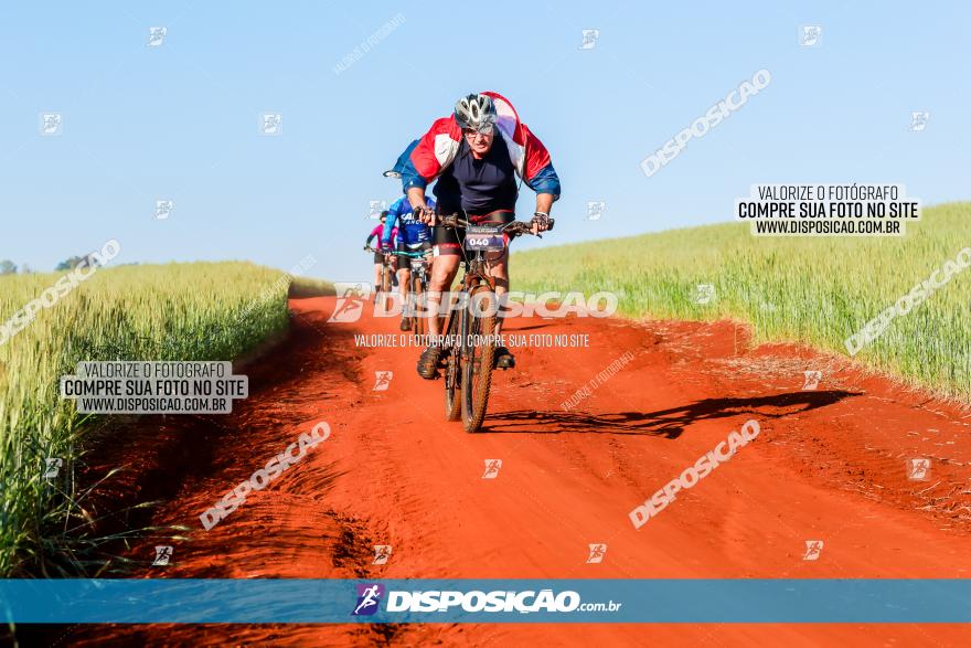 CIRCUITO IBIPORÃ DE MTB - Volta das Capelas 2023