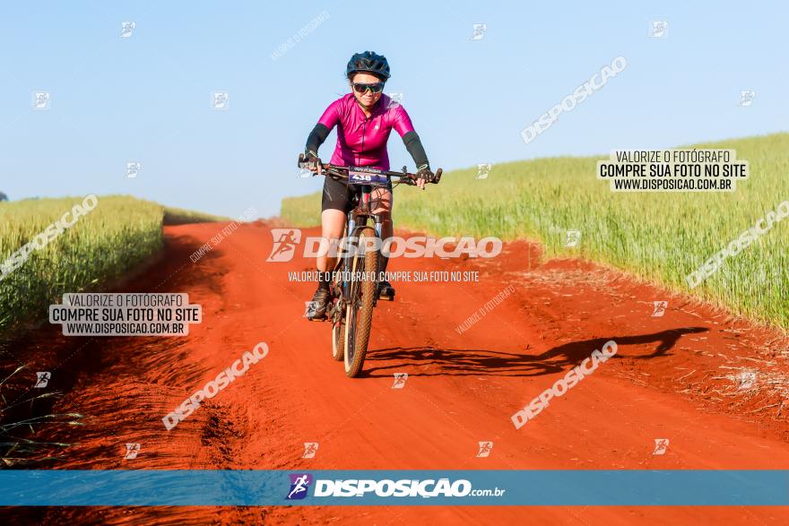 CIRCUITO IBIPORÃ DE MTB - Volta das Capelas 2023