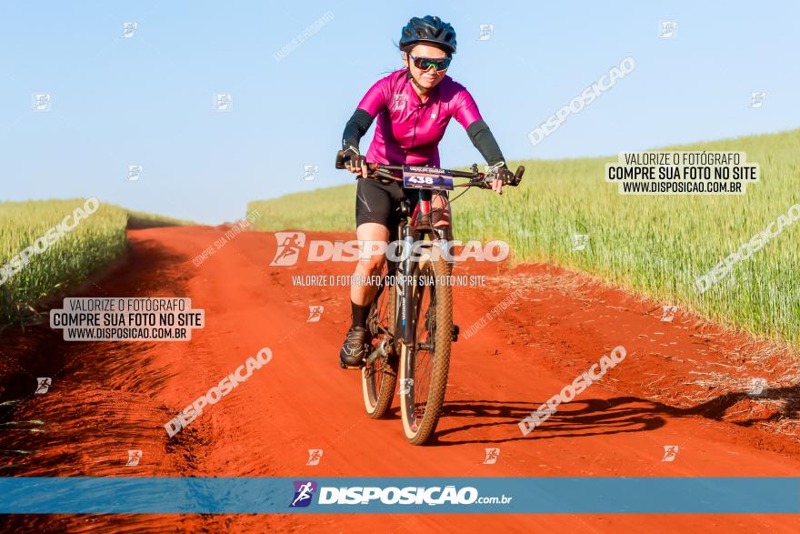 CIRCUITO IBIPORÃ DE MTB - Volta das Capelas 2023