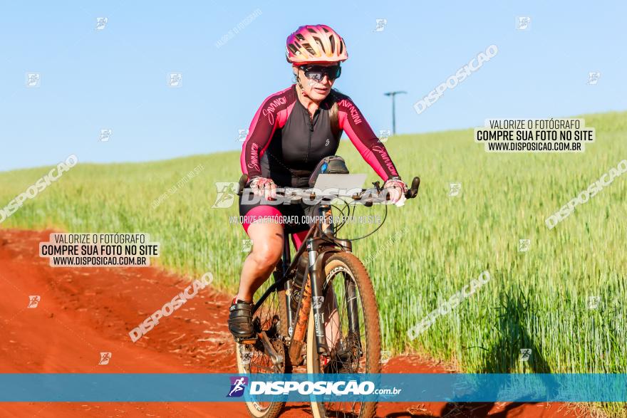 CIRCUITO IBIPORÃ DE MTB - Volta das Capelas 2023