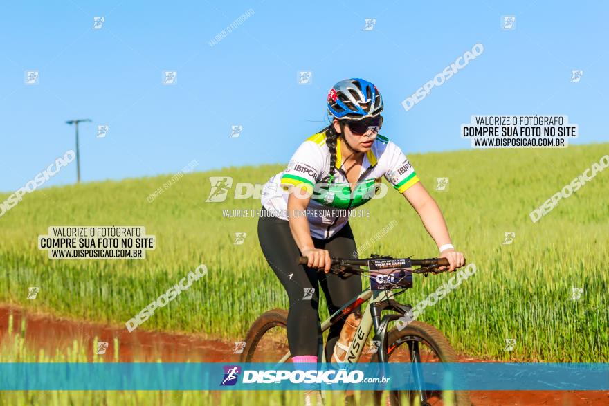 CIRCUITO IBIPORÃ DE MTB - Volta das Capelas 2023