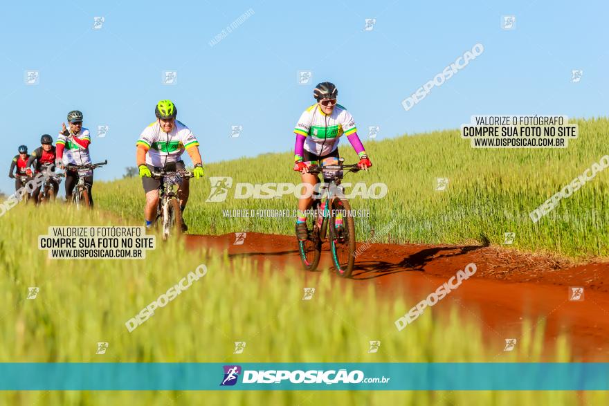 CIRCUITO IBIPORÃ DE MTB - Volta das Capelas 2023