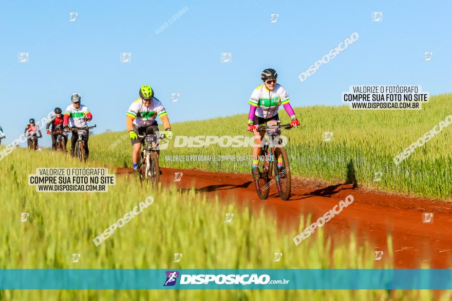 CIRCUITO IBIPORÃ DE MTB - Volta das Capelas 2023