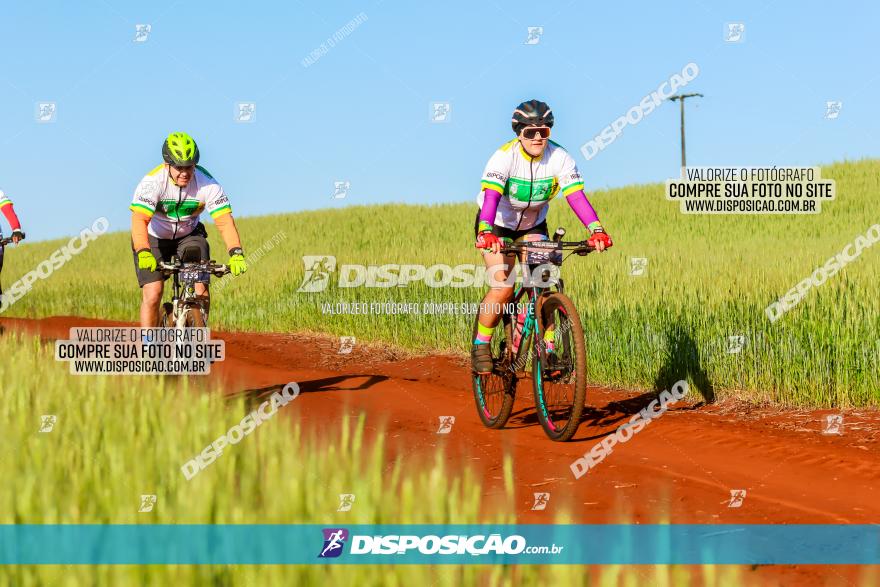 CIRCUITO IBIPORÃ DE MTB - Volta das Capelas 2023