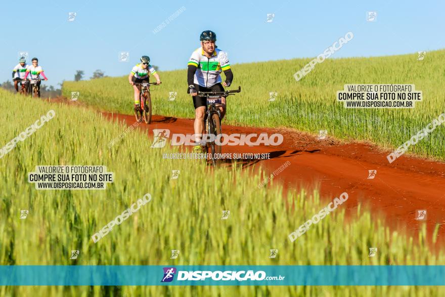 CIRCUITO IBIPORÃ DE MTB - Volta das Capelas 2023