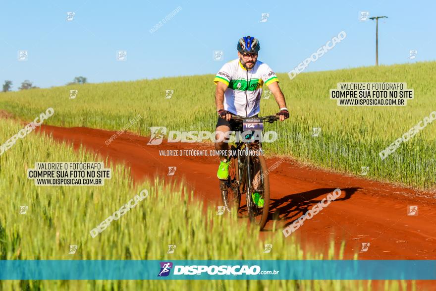 CIRCUITO IBIPORÃ DE MTB - Volta das Capelas 2023