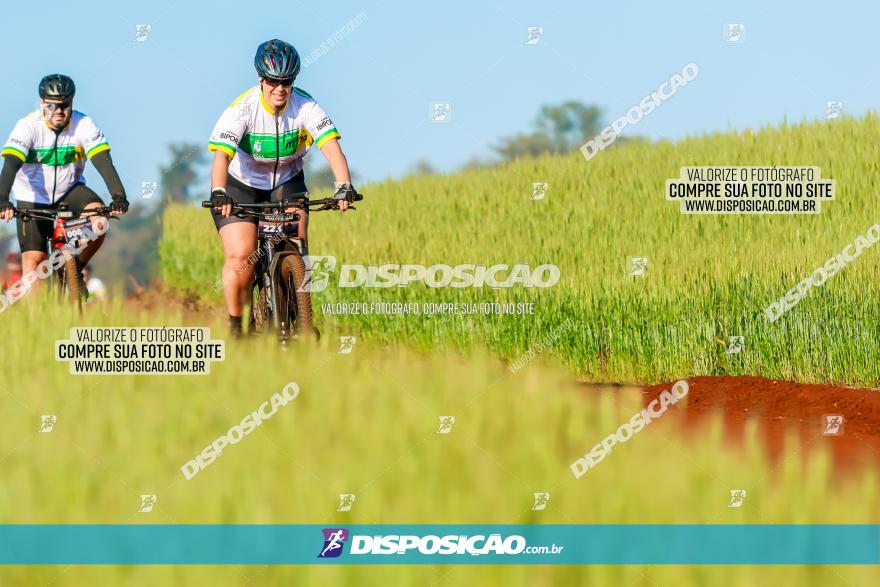 CIRCUITO IBIPORÃ DE MTB - Volta das Capelas 2023