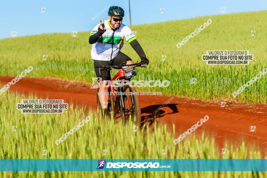 CIRCUITO IBIPORÃ DE MTB - Volta das Capelas 2023