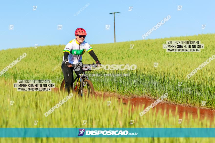 CIRCUITO IBIPORÃ DE MTB - Volta das Capelas 2023