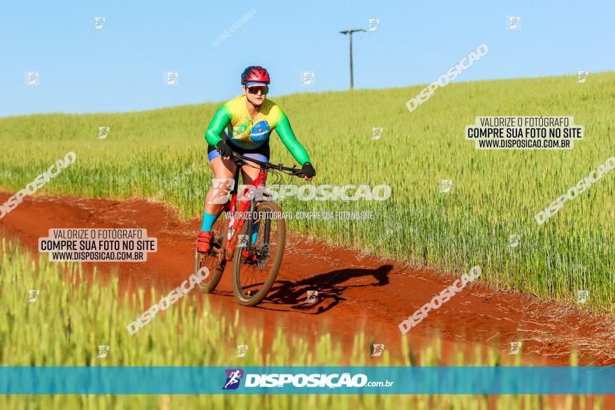 CIRCUITO IBIPORÃ DE MTB - Volta das Capelas 2023