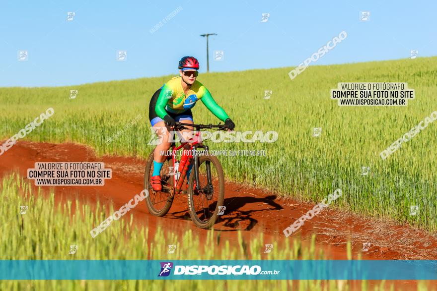 CIRCUITO IBIPORÃ DE MTB - Volta das Capelas 2023