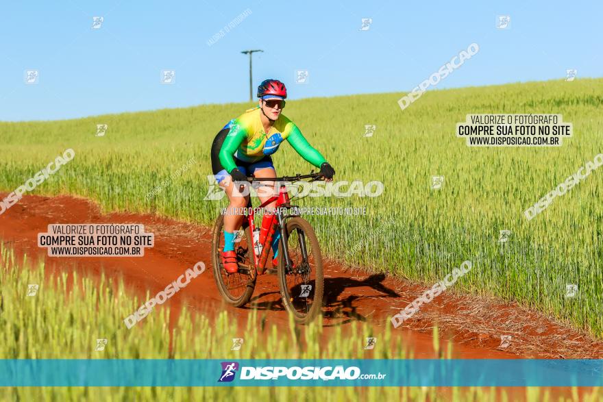 CIRCUITO IBIPORÃ DE MTB - Volta das Capelas 2023