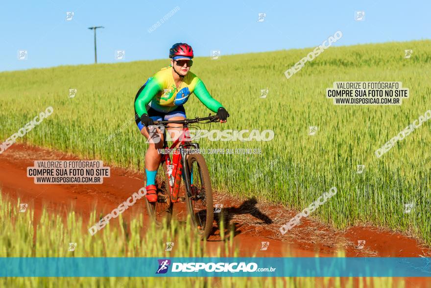 CIRCUITO IBIPORÃ DE MTB - Volta das Capelas 2023