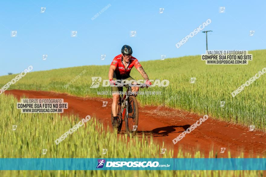 CIRCUITO IBIPORÃ DE MTB - Volta das Capelas 2023