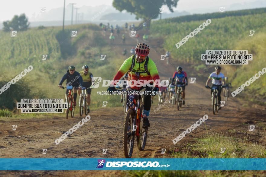 CIRCUITO IBIPORÃ DE MTB - Volta das Capelas 2023