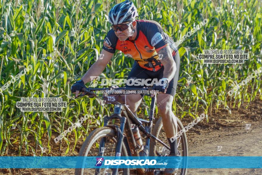 CIRCUITO IBIPORÃ DE MTB - Volta das Capelas 2023