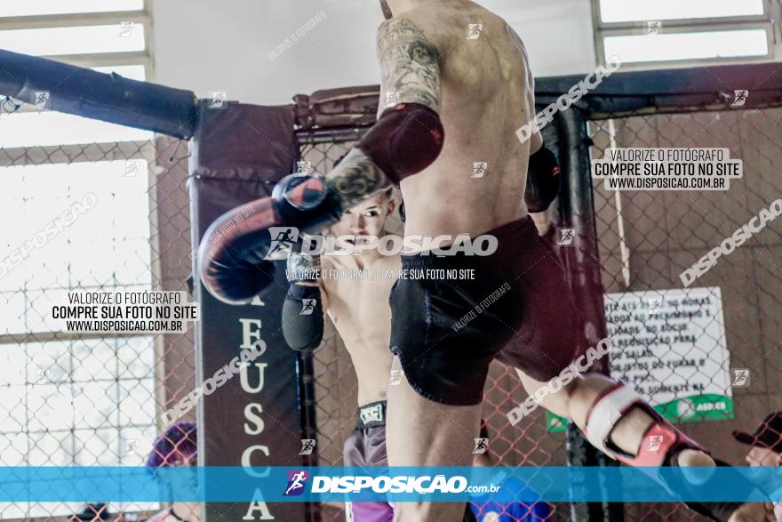 Maringá Fight Combat 65ª Edição