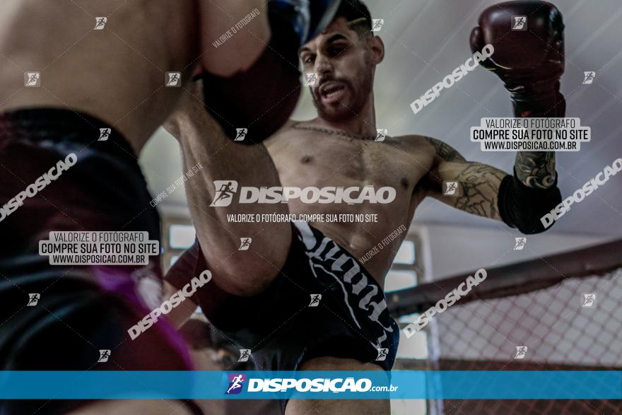 Maringá Fight Combat 65ª Edição