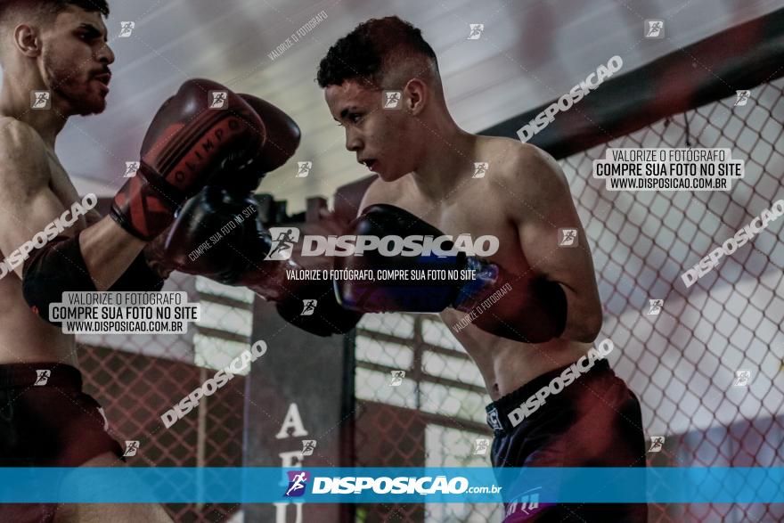 Maringá Fight Combat 65ª Edição