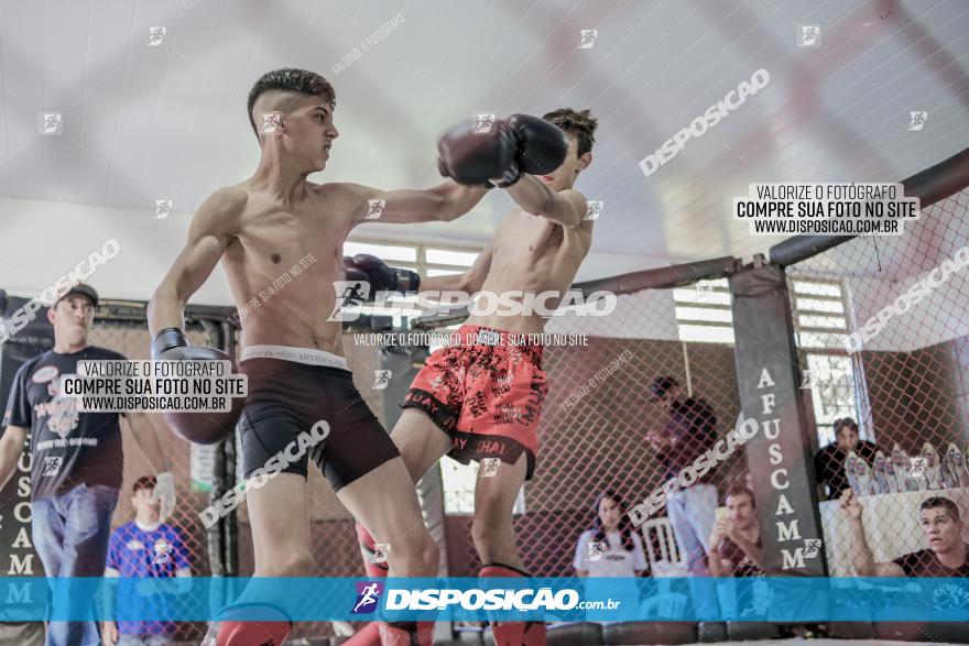 Maringá Fight Combat 65ª Edição