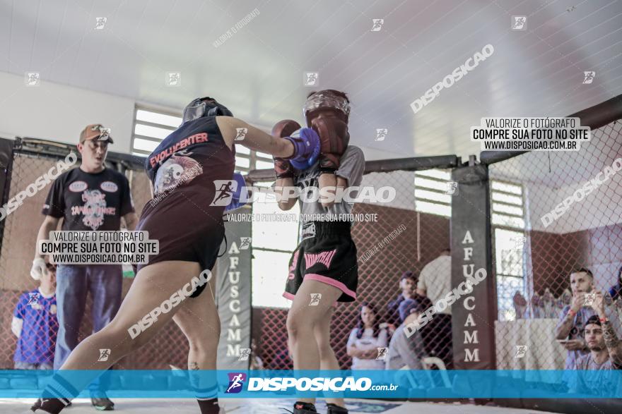 Maringá Fight Combat 65ª Edição