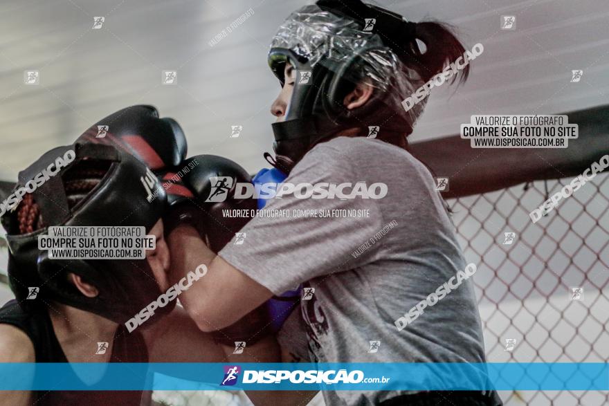 Maringá Fight Combat 65ª Edição