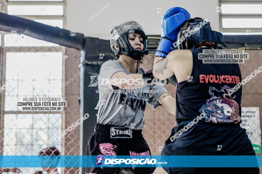 Maringá Fight Combat 65ª Edição