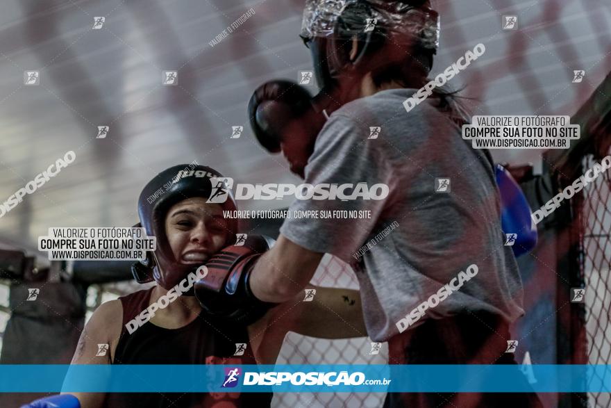 Maringá Fight Combat 65ª Edição