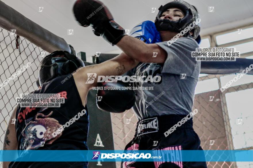 Maringá Fight Combat 65ª Edição