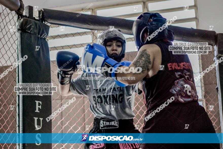 Maringá Fight Combat 65ª Edição