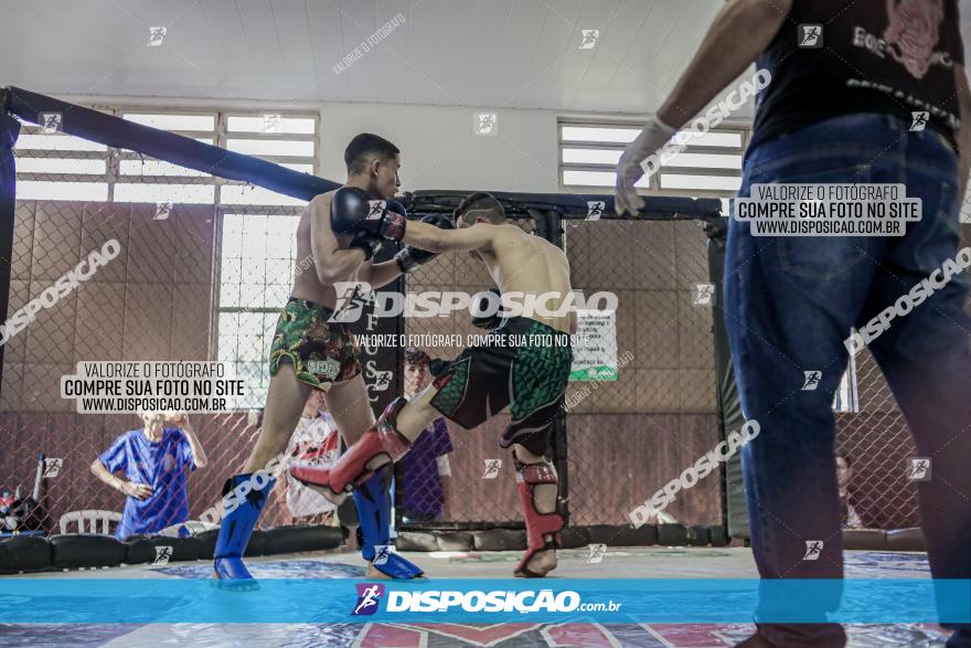 Maringá Fight Combat 65ª Edição