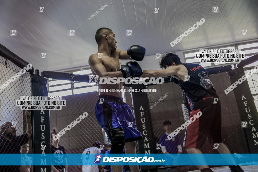 Maringá Fight Combat 65ª Edição