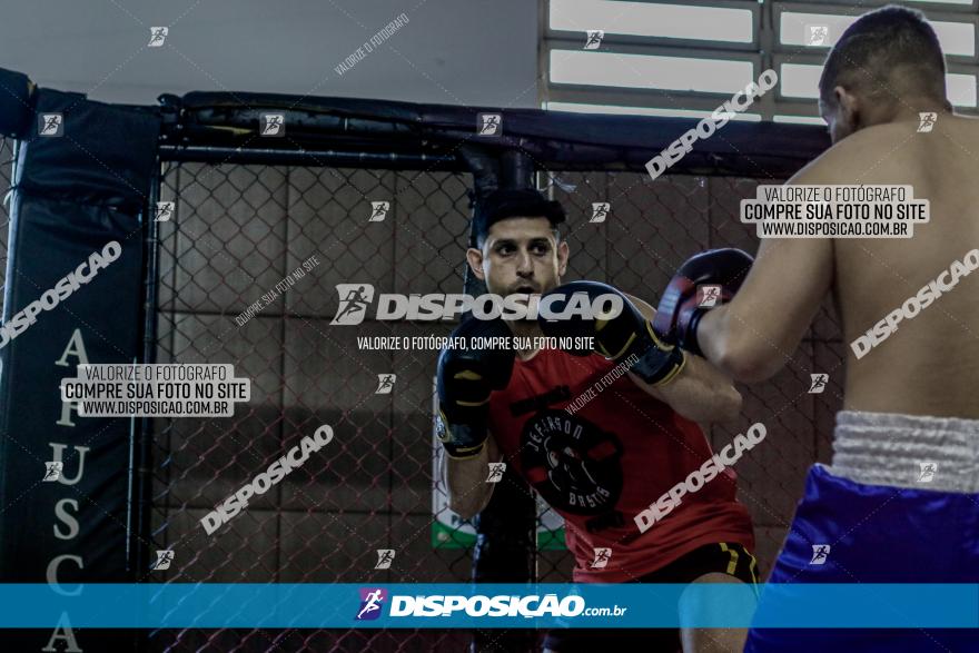 Maringá Fight Combat 65ª Edição