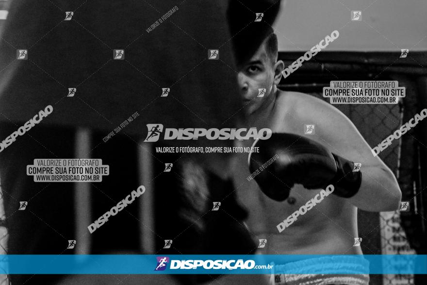 Maringá Fight Combat 65ª Edição