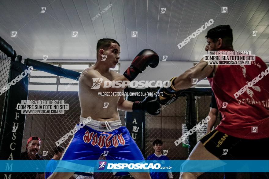 Maringá Fight Combat 65ª Edição